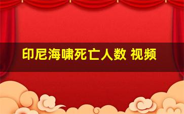 印尼海啸死亡人数 视频